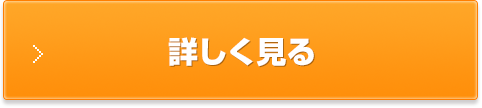 詳しく見る