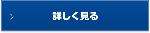 詳しく見る